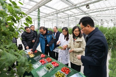 省農(nóng)業(yè)農(nóng)村廳副廳長曹麗虹一行調(diào)研我院溧水基地設(shè)施農(nóng)業(yè)和智慧農(nóng)業(yè)場(chǎng)景建設(shè)